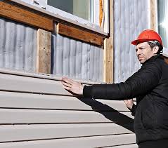 Best Siding Painting and Refinishing  in Bensley, VA